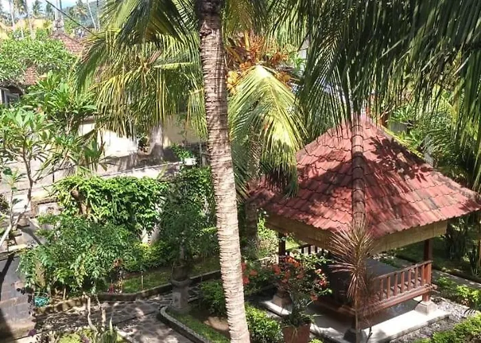 Asli Bali
